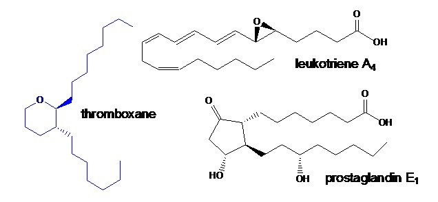 thromboxane, leukotriene A4, prostaglandin E1